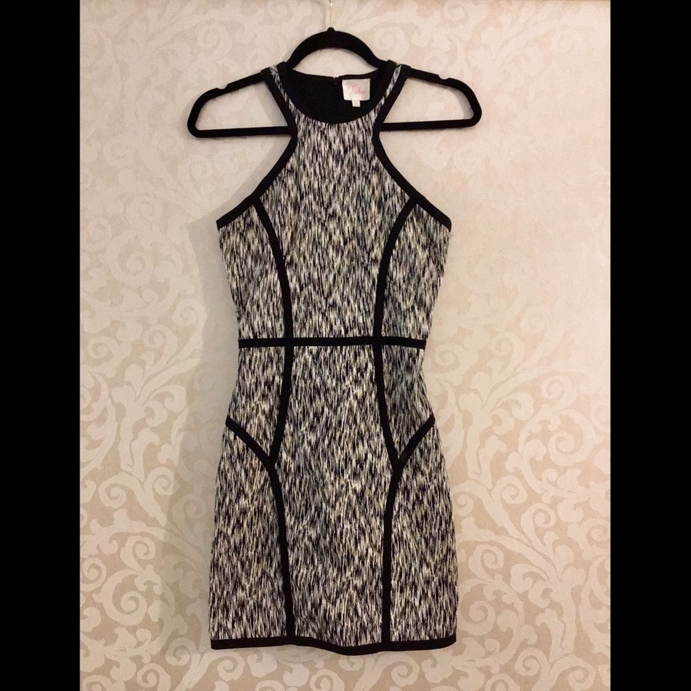 Parker Black and White Palms Mini Dress